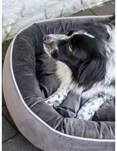 Mitto pet bed GRAPHITE S 70x50 CM