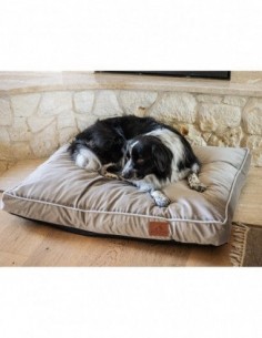 Cuscino PERRO HAZELNUT M 60x80 CM 2