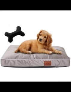 Hundekissen PERRO HAZELNUT S 40x65 CM 2