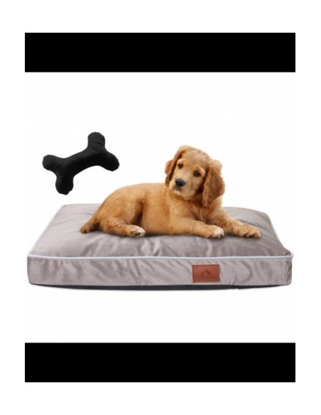 Cuscino PERRO HAZELNUT S 40x65 CM