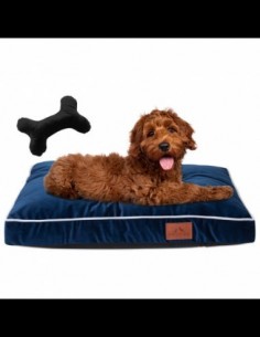 Hundekissen PERRO OCEAN BLUE S 40x65 CM 2