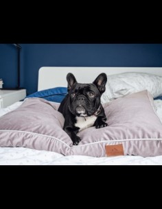 Hundekissen PERRO PASTEL PURPLE M 60x80 CM 2