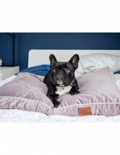 Hundekissen PERRO PASTEL PURPLE S 40x65 CM 2