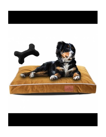 Matelas Perro pour chien et chat SPICY M 60x80 CM
