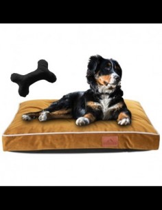 Perro Cushion SPICY S 40x65 CM 2