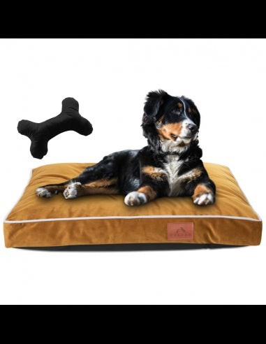 Hundekissen PERRO SPICY S 40x65 CM