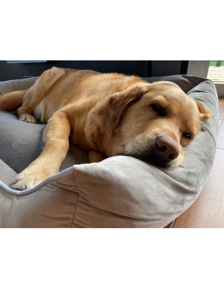 Sofa Miagio pour chien et chat HAZELNUT M 70x50cm