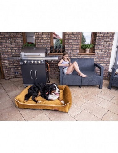 Divano Miagio SPICY XL 120x90 CM