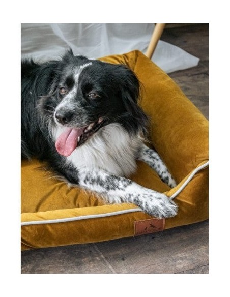 Sofa Miagio for dogs SPICY L 100x80 CM