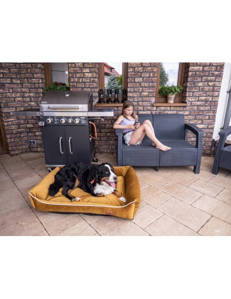 Sofa Miagio pour chien SPICY L 100x80 CM