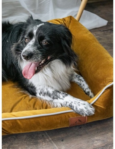 Sofa Miagio pour chien et chat SPICY...