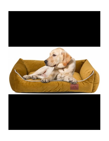 Divano Miagio SPICY S 60x40 CM