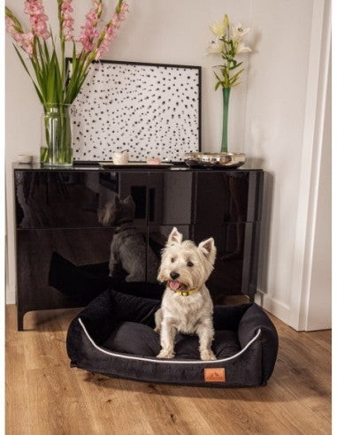 Hundesofa Miagio ULTRA BLACK M 70x50cm