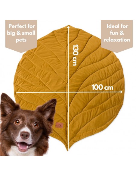 Hundematte FOGLIA SPICY